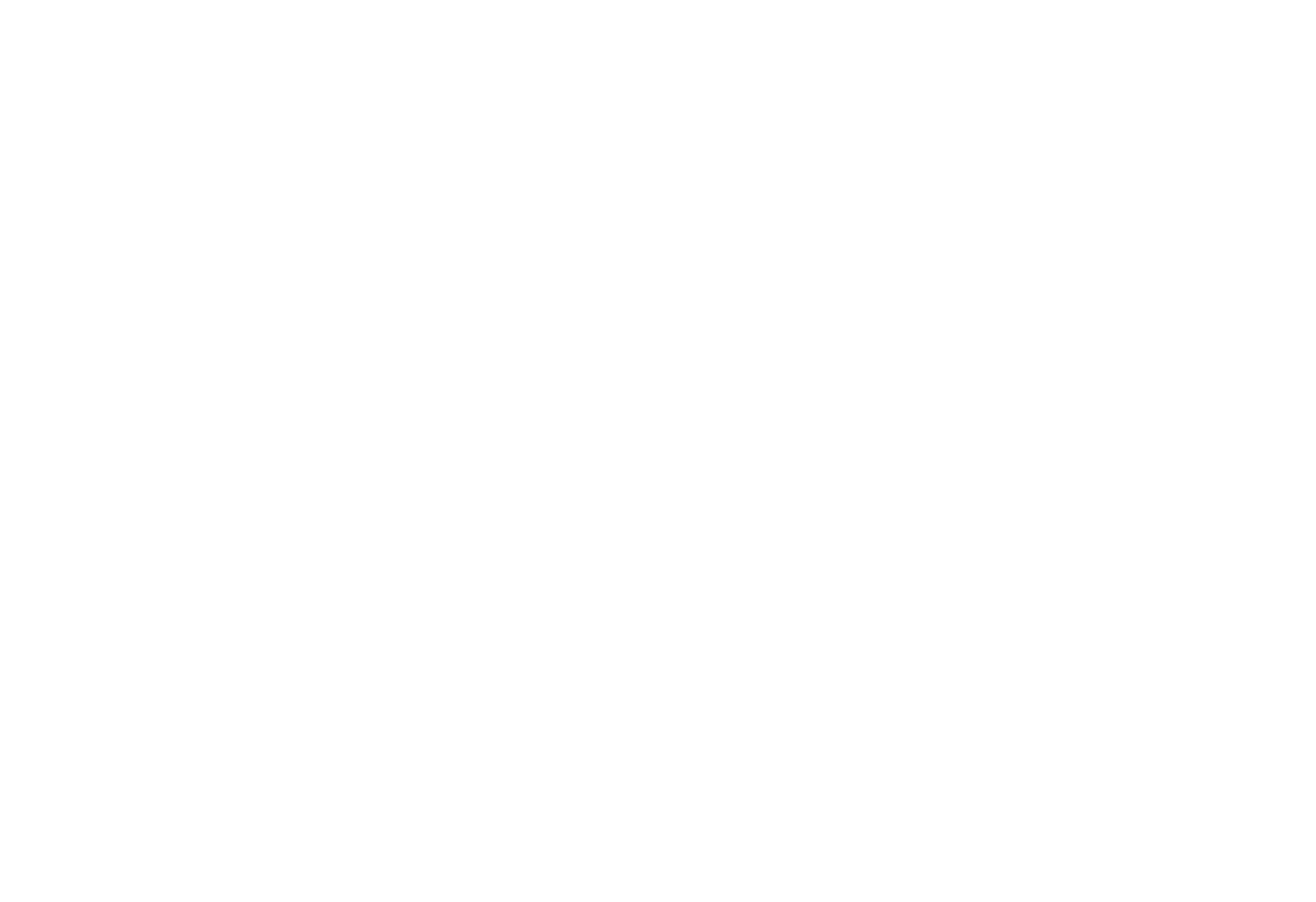 logo CH consulting blanc